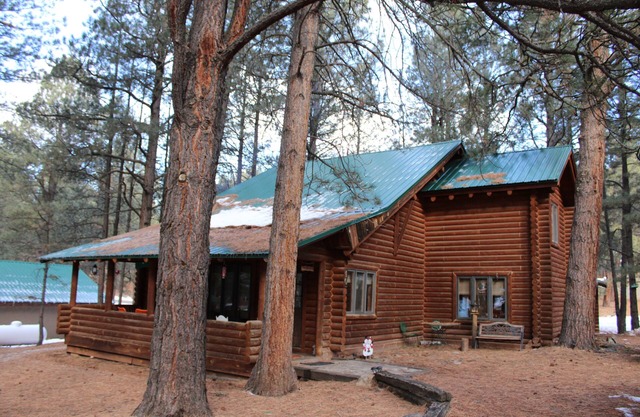 Miller Cabin-Log Cabin 3 bedroom 2 bath.Close to ski area