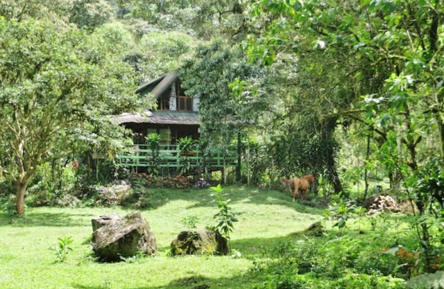 Mindo Eco Chalet with Natural Pool and Waterfalls