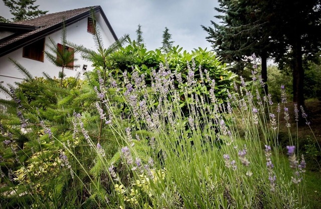 Mini apartment in villa with garden view