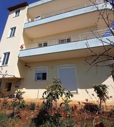 Mino's House