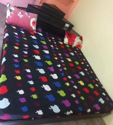 Mishraji Stay 78048-16682