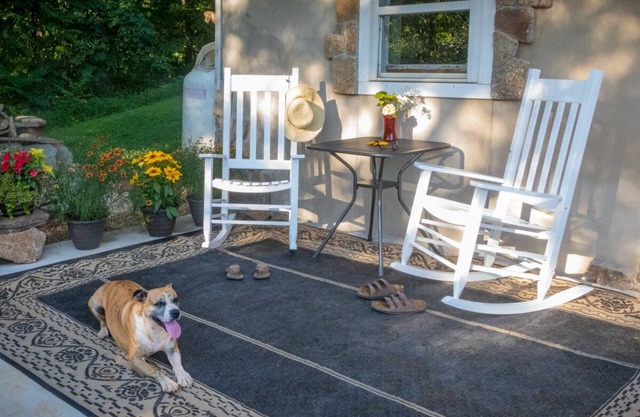 Modern , farmhouse basement, suite, queen bed, efficiency , dogs welcome.
