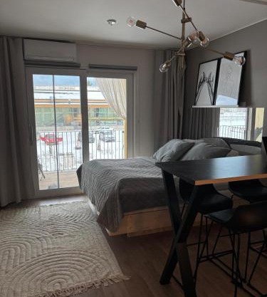 Modern studio apartment near the station