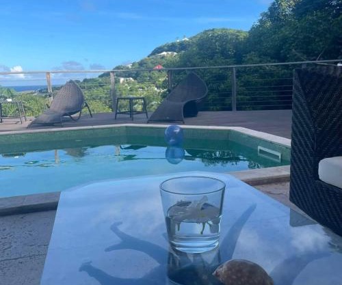 Modern Villa with Pool in Marigot - 100 m²