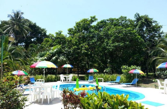 Monkey Lodge