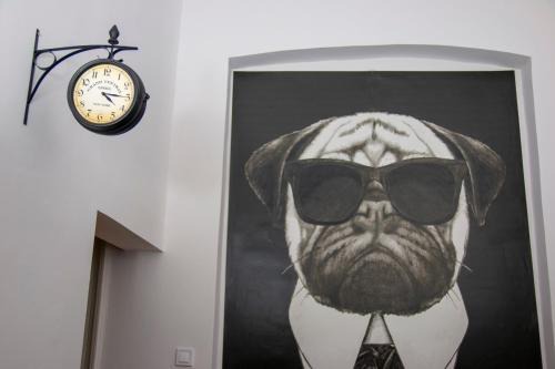 Mops Bob Apartment