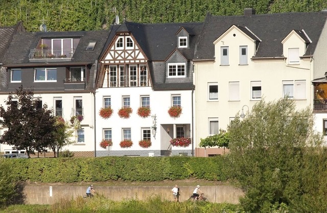 Mosel Loft with Vineyard Patio