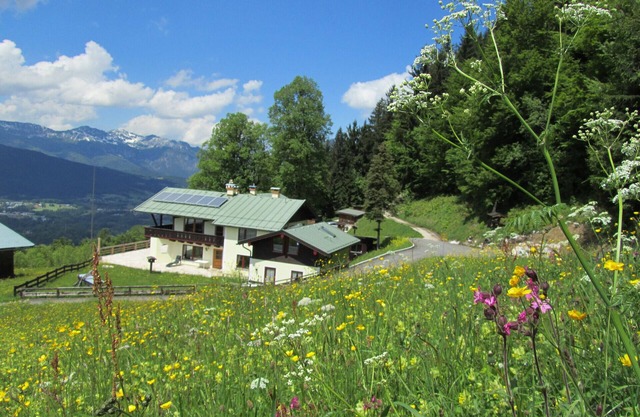 Mountain panorama with a view of the valley, totally alpine pasture landscape
