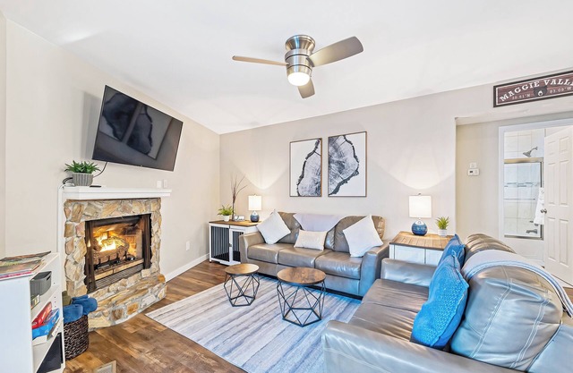 Mountain View! Beautifully Updated, Fire Pit, Hot Tub, Arcade, Foosball, DogsOK!