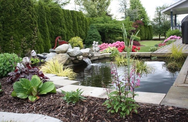 Mt Bakerview Bed and Breakfast