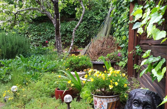 n "Casa Costagliola" Fabulous deal in Carmel!