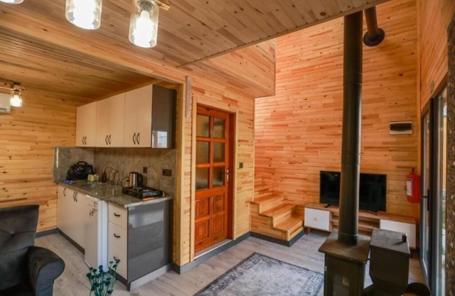 Naila Bungalov Sapanca Private : One bedroom Holiday Home