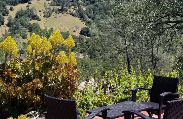 Napa Valley - Spectacular Wine Country Cottage in Vineyard