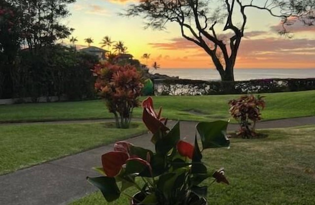 Napili Point A26 ~ Cozy Ground-Floor 1BD Ocean Front Views