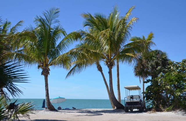 Nature Activities from 2 Serene 2BR Beach Villas steps away from the sand