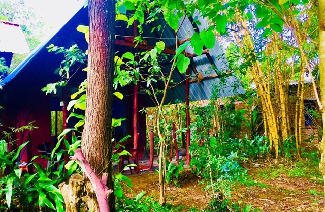Nature Nest Riverside
