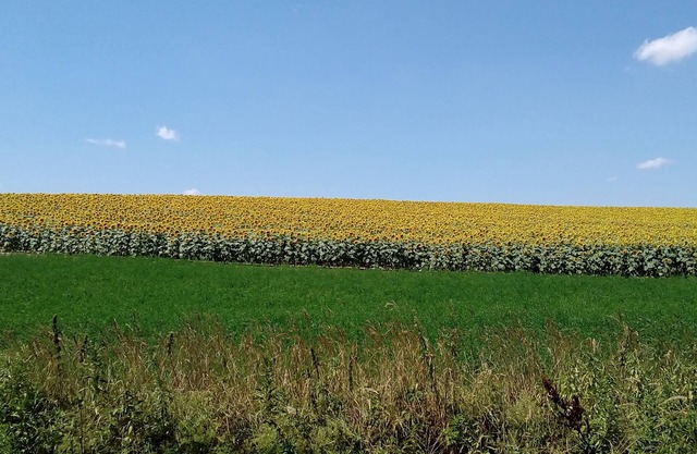 Naturverbundener Landurlaub in Südungarn