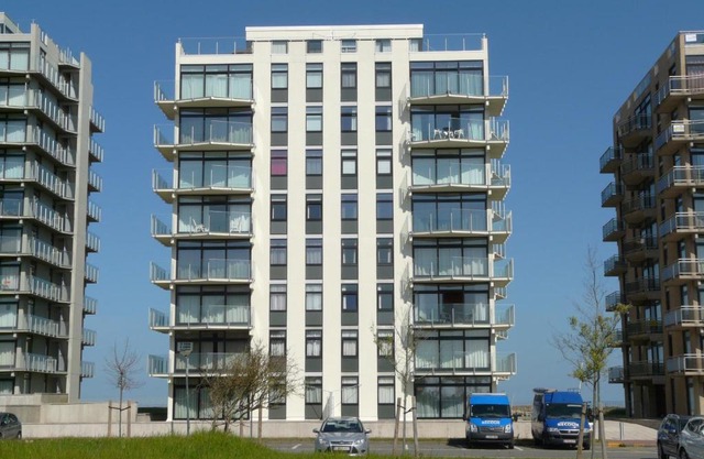 Neptunus De Panne