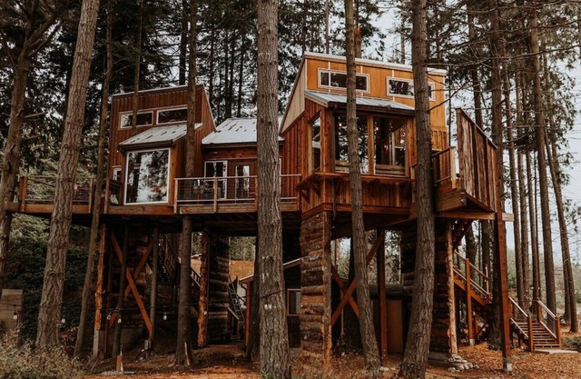 Nest · Treehouse on the Water -Eagles Nest-20 ft high