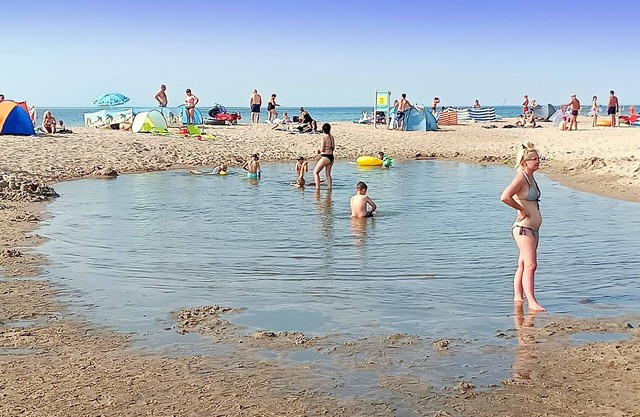 Neue Ferienhäuser mit Beheiztem Schwimmbad. Pferdehof zu Vermieten, 100 m