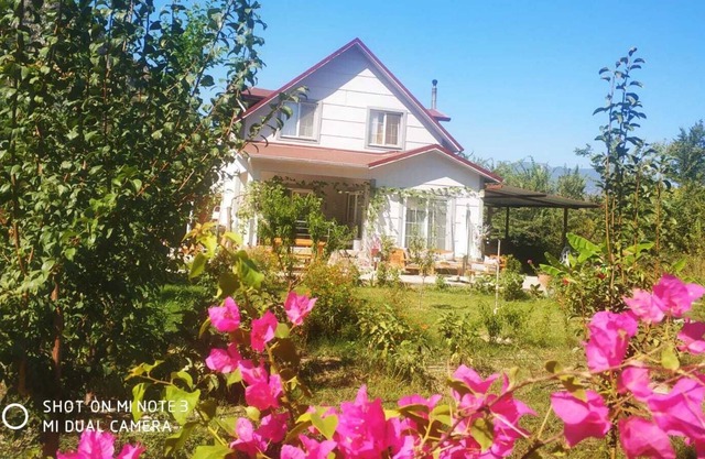 New address of a calm holiday