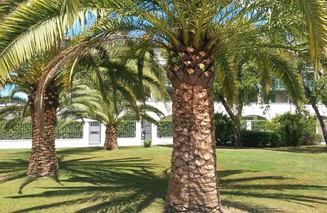 new apartment with garden