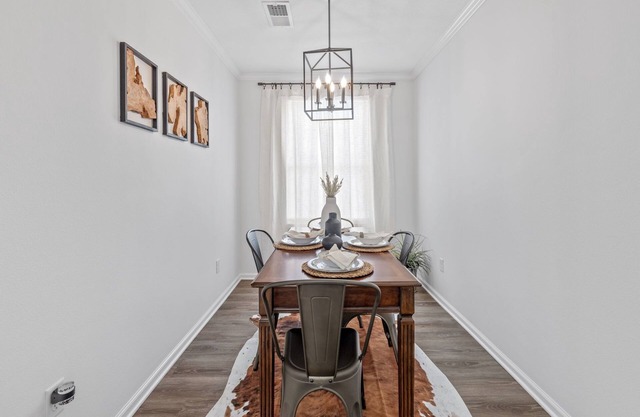 New! “Bayou Bungalow: Work or Wander”
