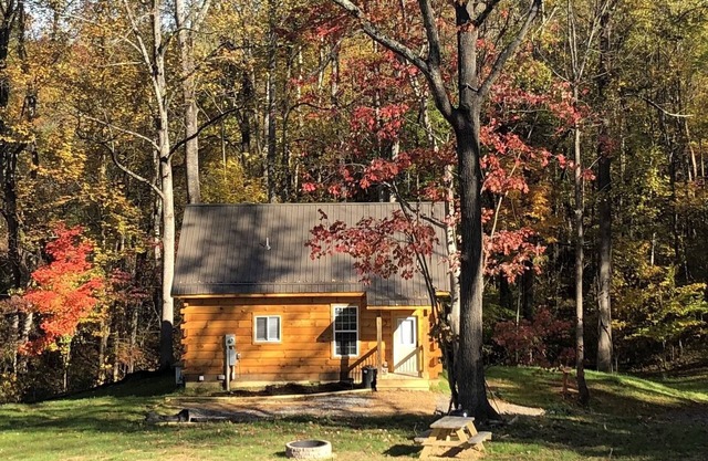 NEW! COZY 6 Guest Cabin in Damascus, VA-CLOSE to Creeper Trial! PET FRIENDLY