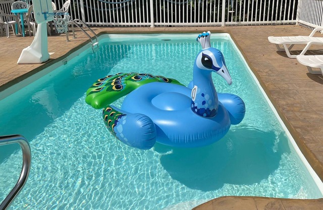 NEW DISCOUNTS 2025 listed-Lakefront home with pool, jacuzzi, and gorgeous views!
