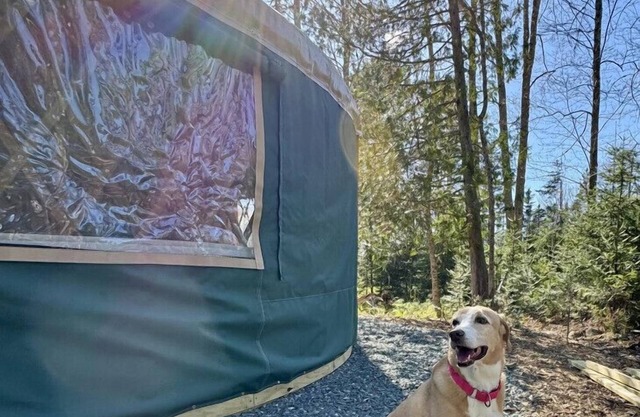 New luxurious 24’ yurt located in Bar Harbor, Maine with access to Northeast Creek