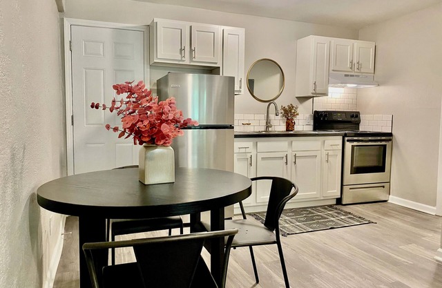 Newly Remodeled Furnished Apts - 1 bed