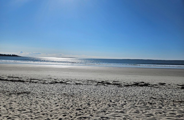 Newly renovated condo, w/pool & 20 second walk to the beach. WIFI and AC.