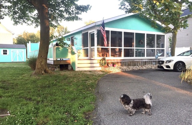 Newly Renovated Cozy Cottage In Family Friendly Community