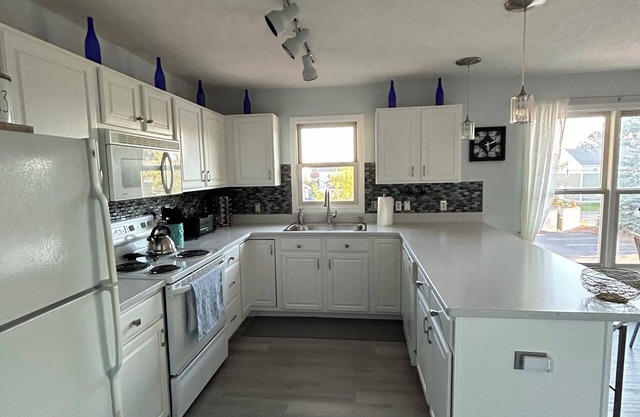 Newly Renovated Downtown Condo