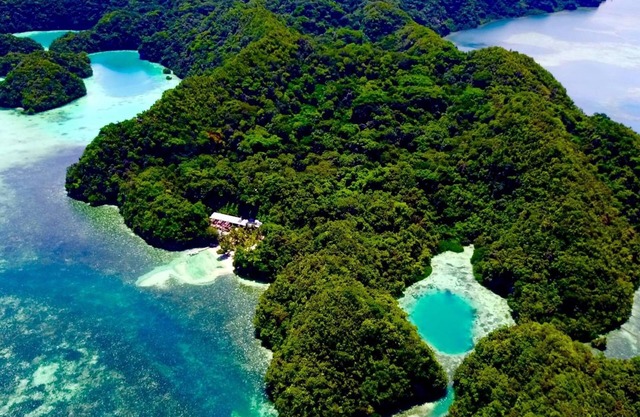 Ngellil Nature Island Resort