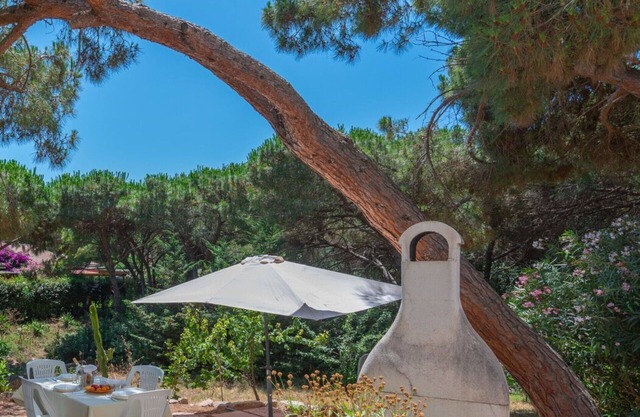 Nice apartment for 4 people with A/C, WIFI, TV, patio and pets allowed