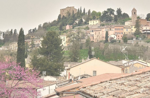 Nice apartment with independent entrance at the foot of Bertinoro