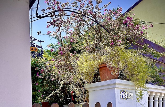 Nice independent house with garden and parking between Portofino and the 5Terre