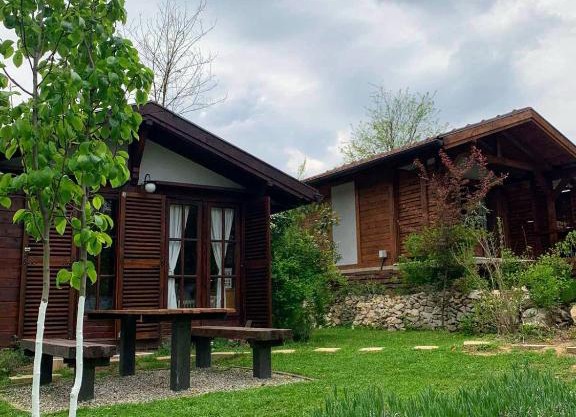 NIKOLIJA 2