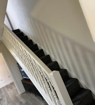 Nina Nests