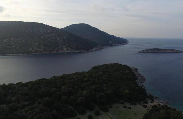North Paradise