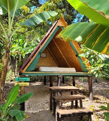 Nosso Quintal Candeias - Cabana Banana