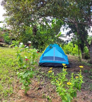 Nosso Quintal Candeias - Camping