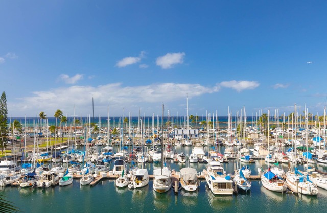 Ocean Front Marina Front Waikiki-Ilikai Marina Pink Plumeria