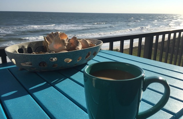 Oceanfront-Best Views Of The Beach-New Smyrna Beach-3/2