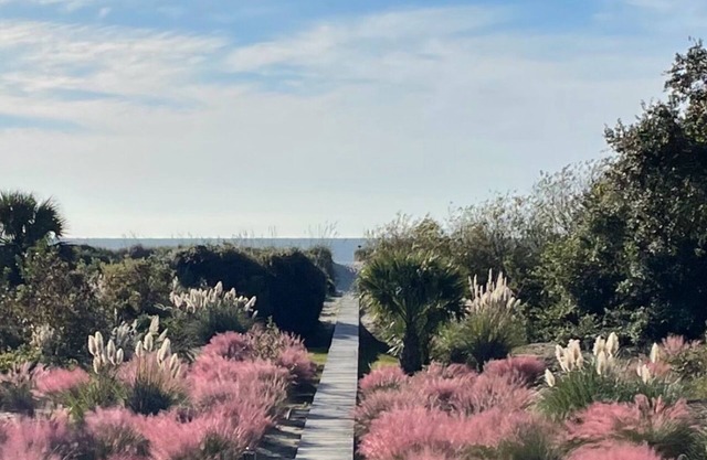 Oceanfront House-NOT a Condo- Views-PrivatenWalkway-5 StarnLocation-Screen Porch