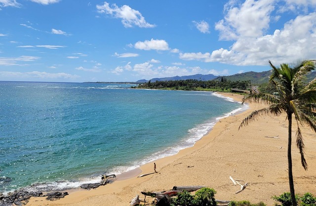 Oceanfront Top Floor Luxury Condo for 2 - Wailua Bay View 306