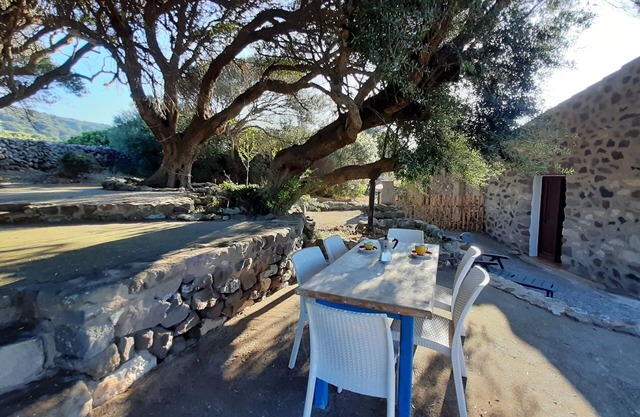 Old and cozy typical stone house with terrace under the olive trees