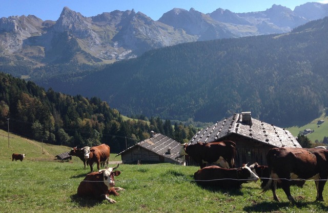 Old chalet completely renovated. South exposure. Panoramic view.