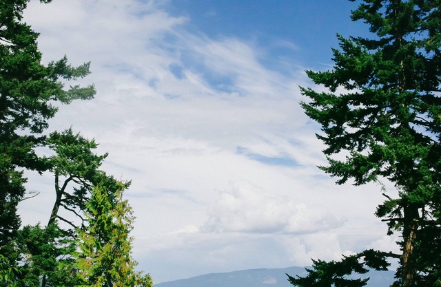 Old Island Charm with Stunning Mountain Views, Perched above Our Private Beach